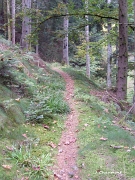 Le Sentier du Maire touche bientôt à sa fin